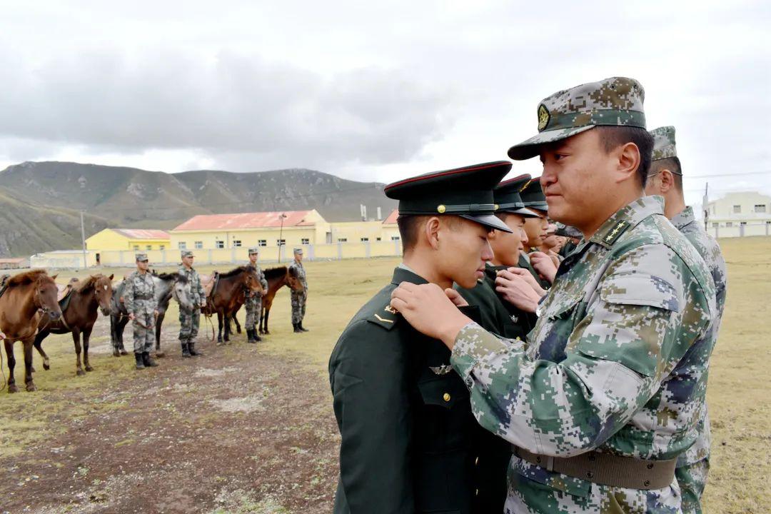 中国的军衔胸标等级及标志，中国军衔胸标等级及标志详解