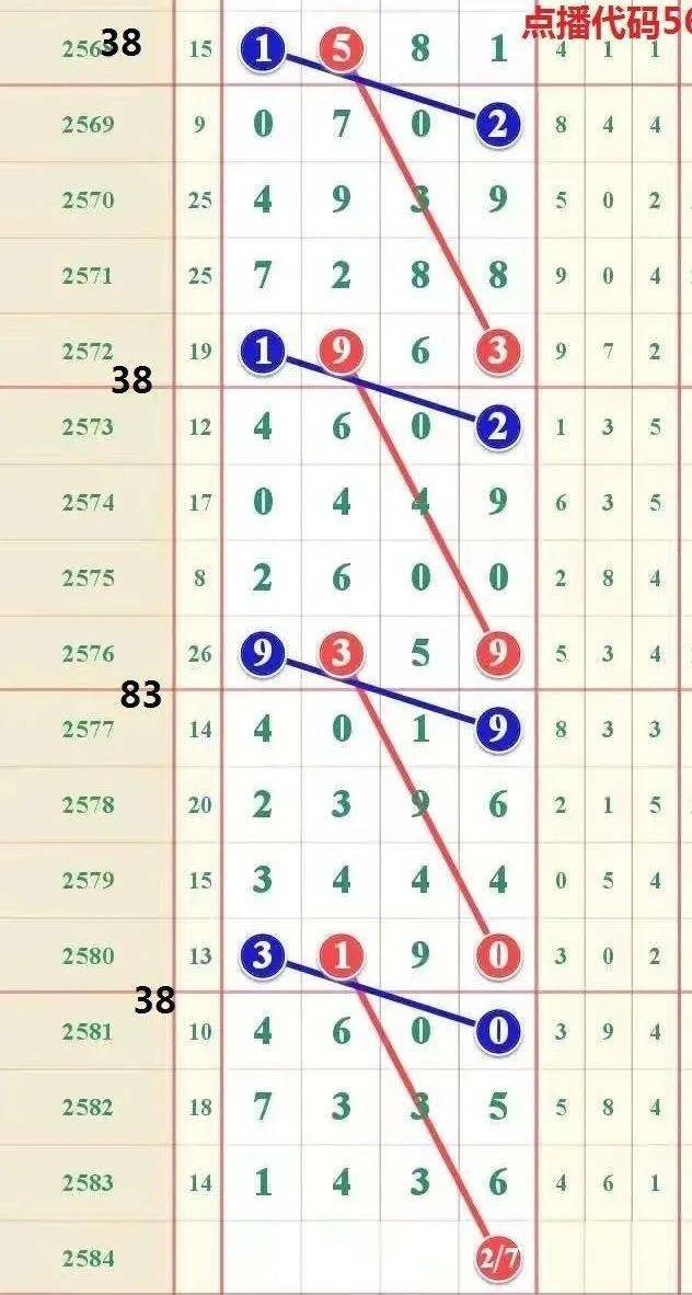 王中王赕料一肖中特天——探寻背后的秘密与意义，王中王赕料一肖中特天，背后的秘密与意义探寻