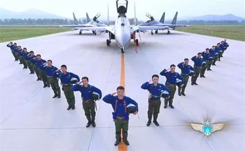 中国空军招飞网标志，象征力量与荣耀的标志设计解析，中国空军招飞网标志解析，力量与荣耀的象征设计