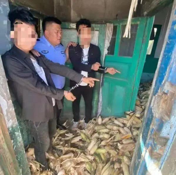 最新消息是什么——引领时代的风云变幻，引领时代风云变幻，最新消息揭秘