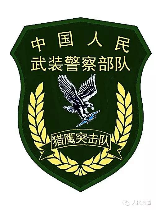 武警八一臂章图片，荣耀的象征与时代的印记，武警八一臂章图片，荣耀时代的印记与象征