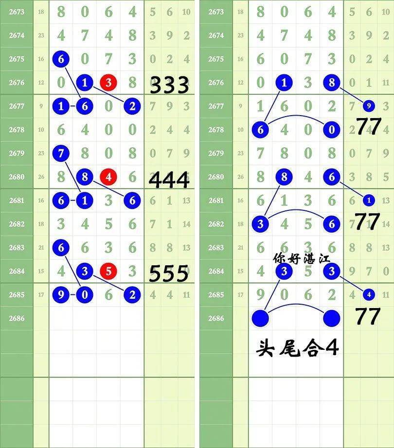 王中王678一肖三码，揭秘背后的故事与意义，揭秘王中王678一肖三码背后的故事与深层含义