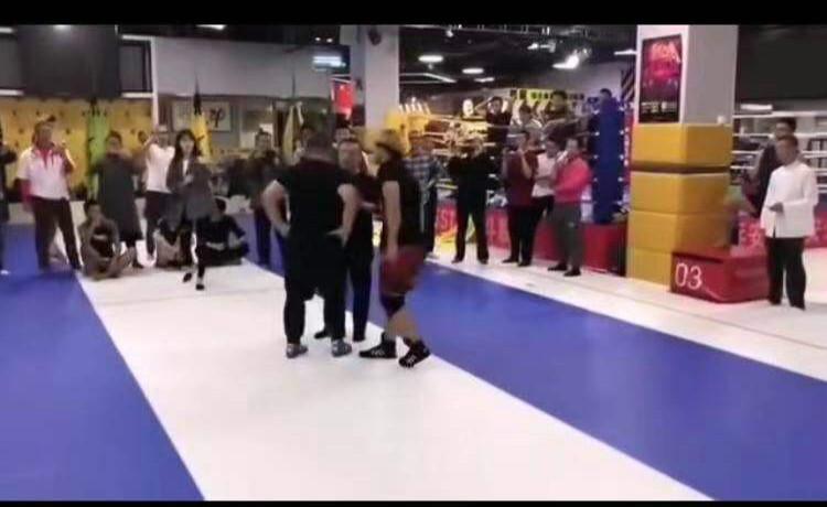 武林王中王与生肖传奇,武林王中王与生肖传奇,英雄传奇与神秘生肖的交融