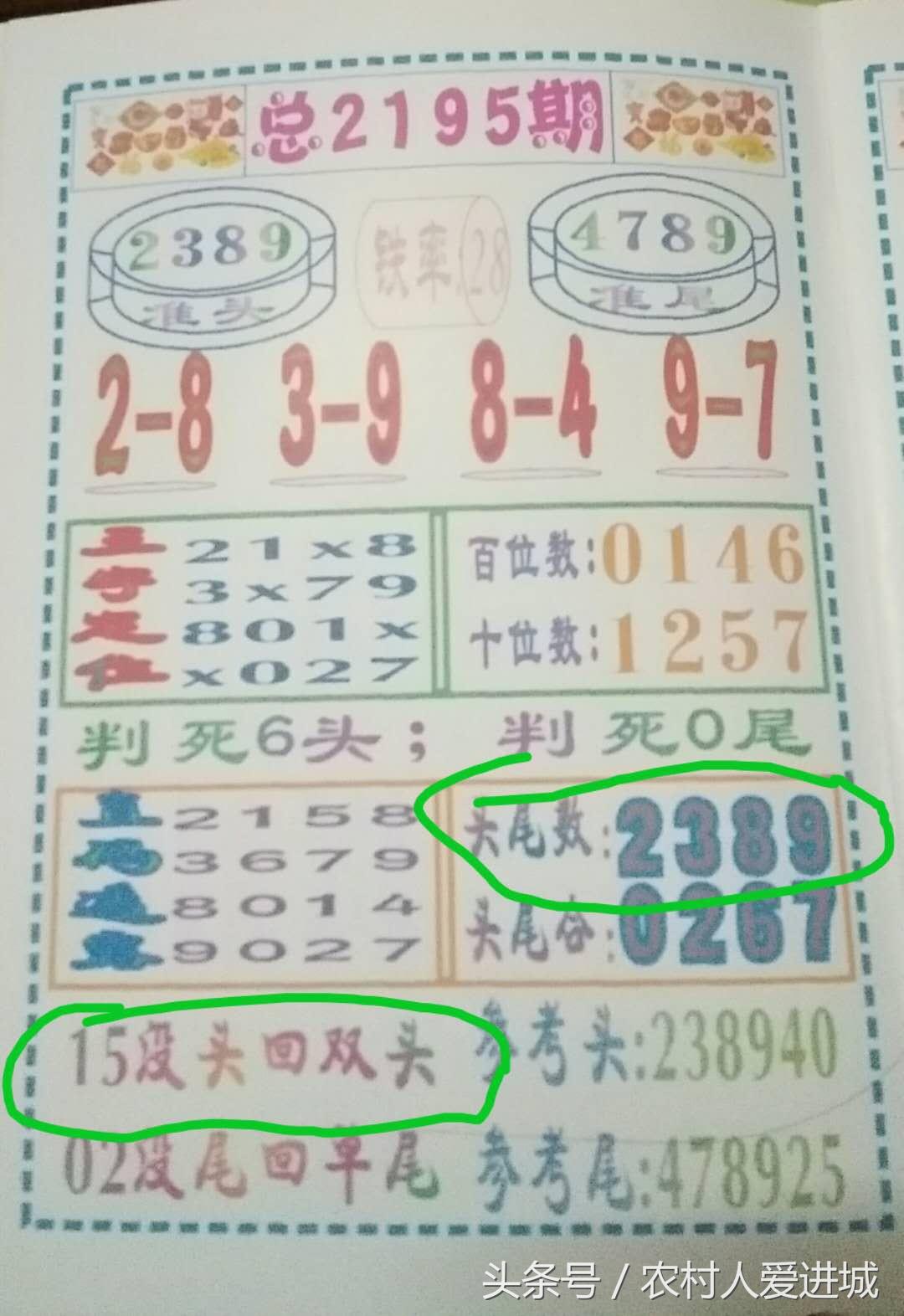 澳门今晚必开一肖，探索生肖彩票的魅力与玄机，澳门生肖彩票探索，魅力与玄机之夜揭秘必开一肖