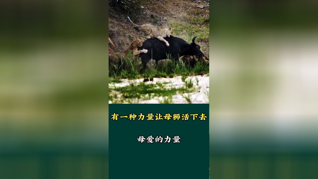 有一种力量，无形的驱动与无限的可能，无形之力，驱动与无限潜能的奥秘