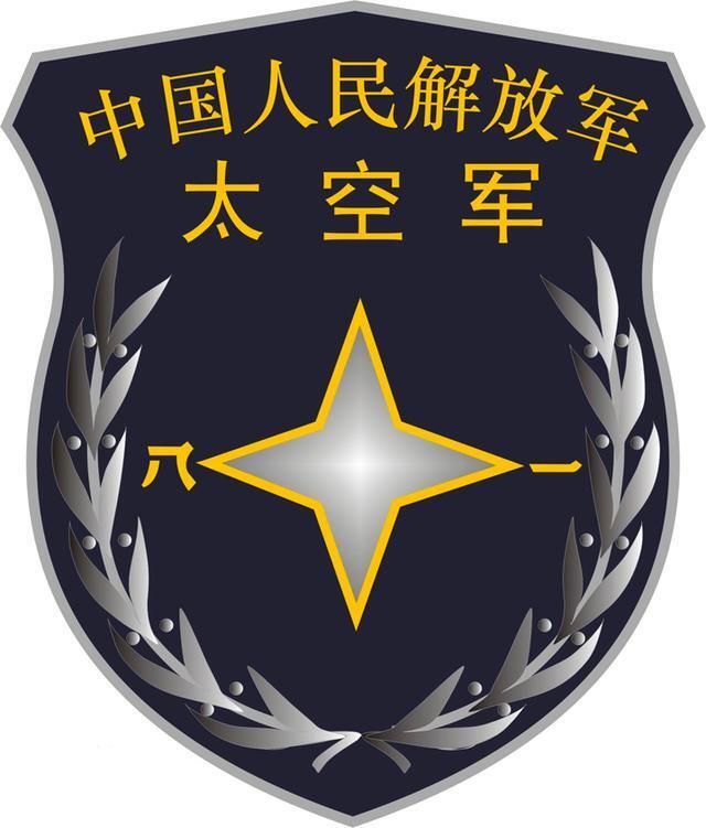 中国人民解放军军种臂章，荣耀的象征与时代的印记，中国人民解放军军种臂章，荣耀时代的印记与象征