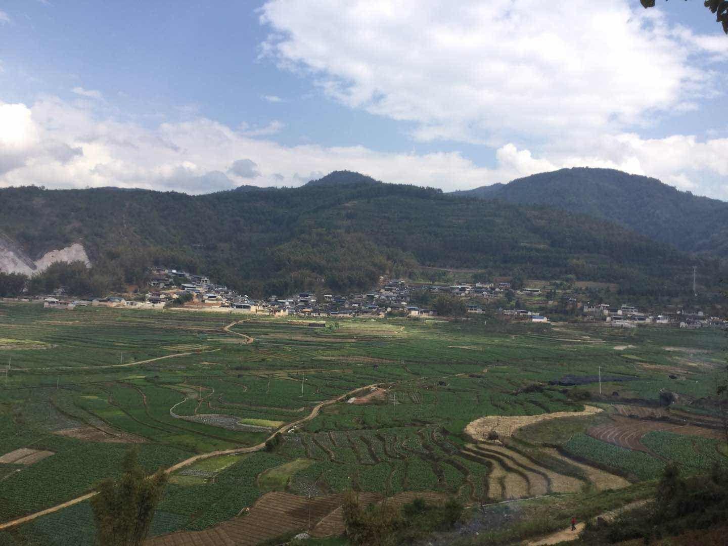澳门 第635页