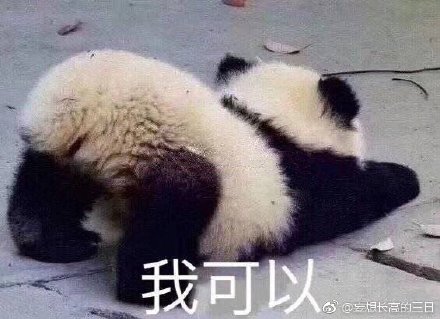 澳门最准四不像网——探索与解析，澳门最准四不像网，深度探索与解析