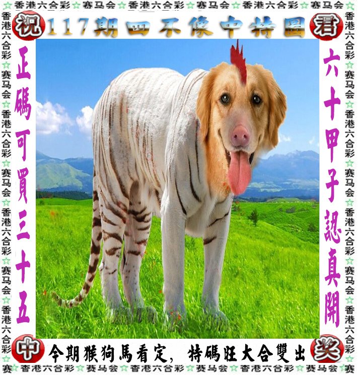 山中之王王中王——揭秘生肖之王的神秘面纱，揭秘生肖之王山中之王王中王的神秘面纱