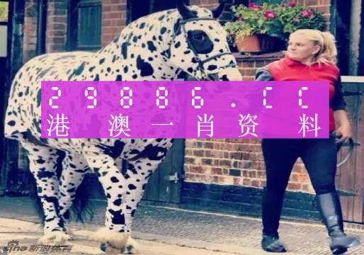 澳门王中王与一肖一中一码的秘密，澳门王中王与神秘一肖一中一码揭秘