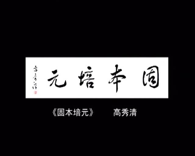 王中王282期指一生肖——探寻生肖文化中的奥秘与魅力，探寻生肖文化中的奥秘与魅力——王中王282期指一生肖