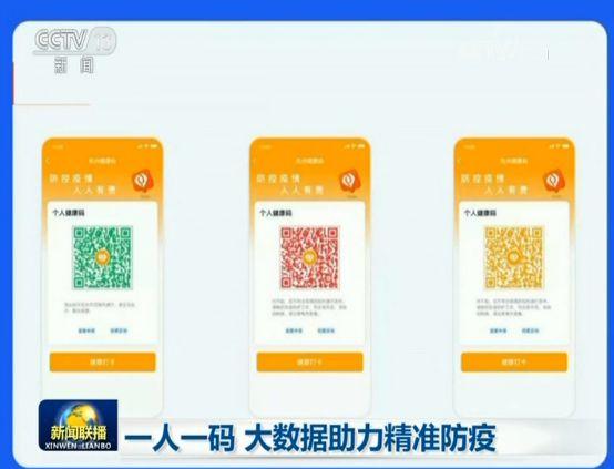 精准王中王猜诗一肖——探寻智慧与运气的交融，精准王中王猜诗揭秘，智慧与运气的完美交融