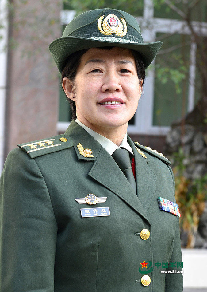 中国武警军装图片大全，历史、种类与特色，中国武警军装图鉴，历史、种类与独特风采