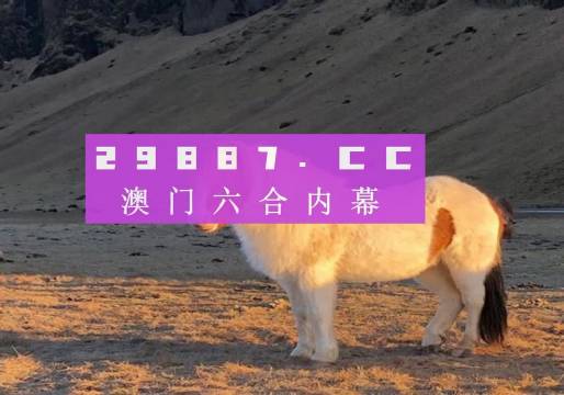 澳门六开彩49开奖结果，探索与解析，澳门六开彩49开奖结果深度解析与探索