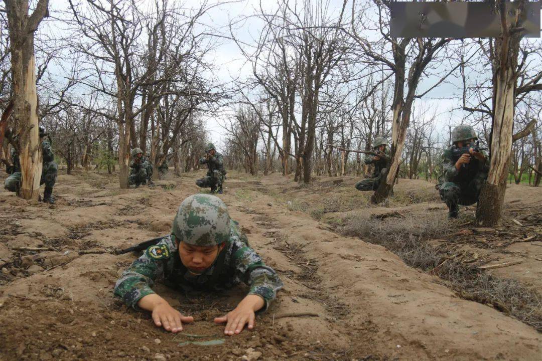 陆军合同战术训练基地，锻造未来战场上的精英，陆军合同战术训练基地，锻造未来战场精英战士