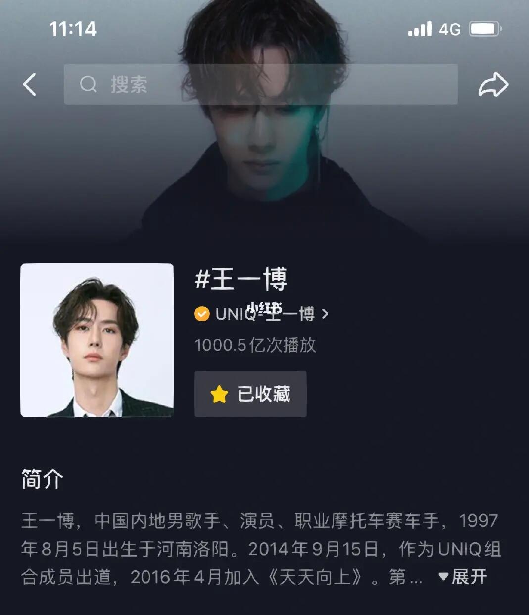 揭秘王中王一肖内部资料，深度解析其成功背后的秘密，揭秘王中王一肖背后的成功秘密，深度解析内部资料