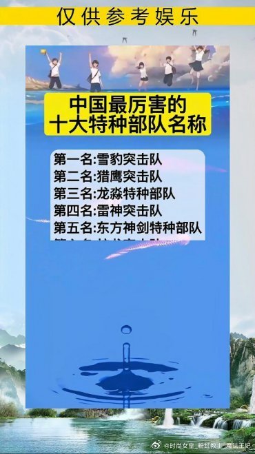 中国特种部队前十排名，实力与荣耀的象征，中国特种部队前十排名，实力与荣耀的典范