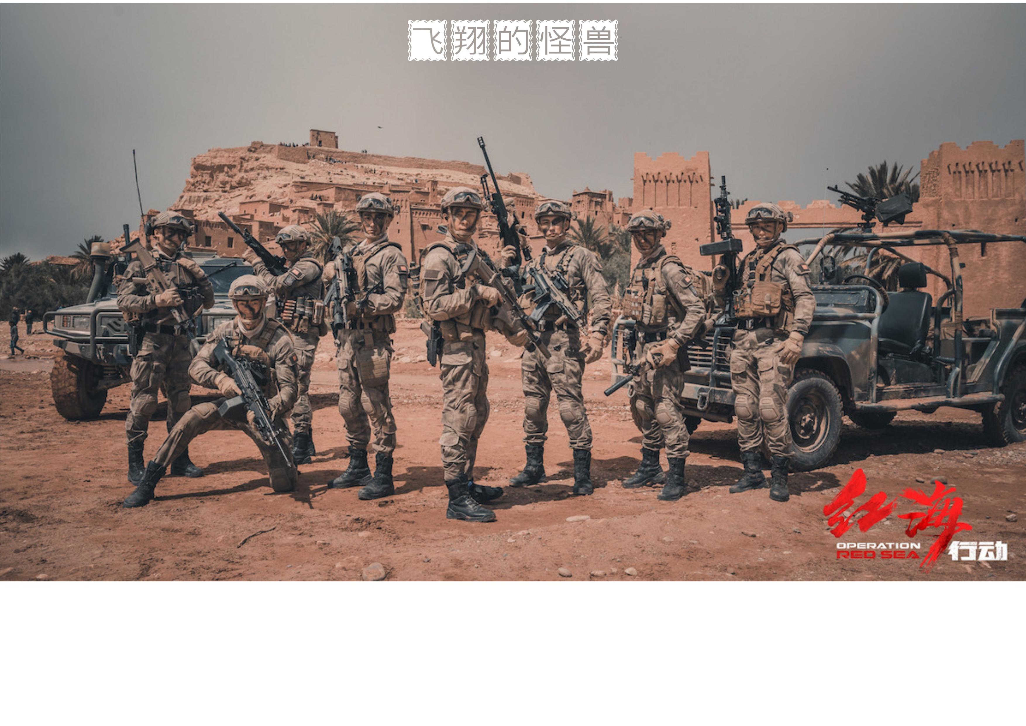 蛟龙突击队红海行动原型，英勇无畏，展现中国力量的象征，蛟龙突击队，红海行动原型展现中国力量的英勇象征