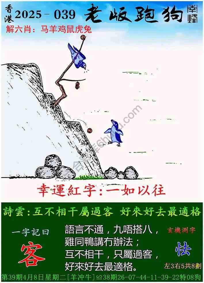 香港王中王跑狗图一肖，探索与解析，香港王中王跑狗图一肖，深度探索与解析