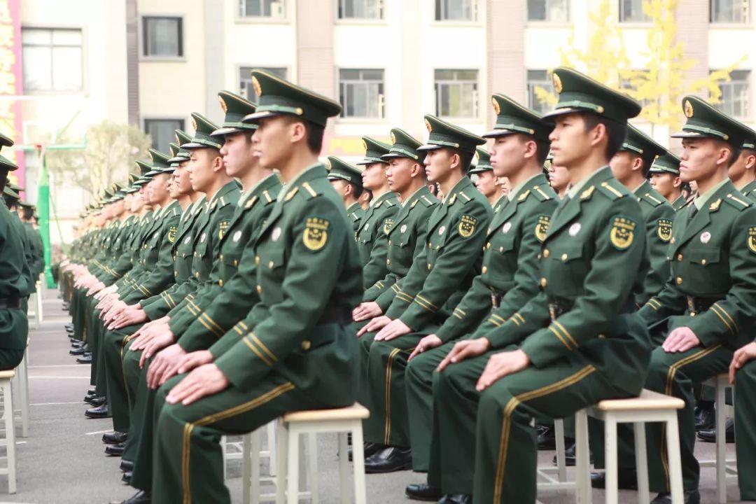 武警学校概述，数量与特色，武警学校概览，数量、特色全解析