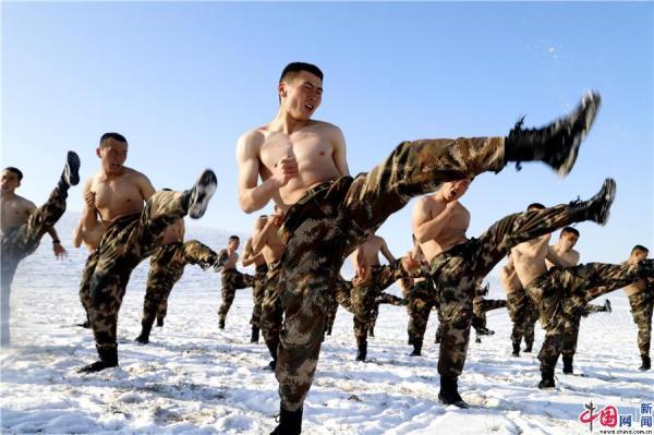 早期武警特战，荣耀与使命的交织，早期武警特战，荣耀与使命的辉煌历程