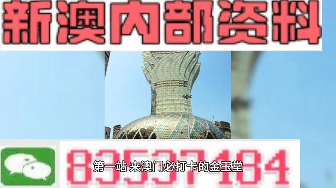 澳门精准四不像，未来城市发展的多维探索（2025展望），澳门未来城市发展的多维探索，精准四不像（2025展望）