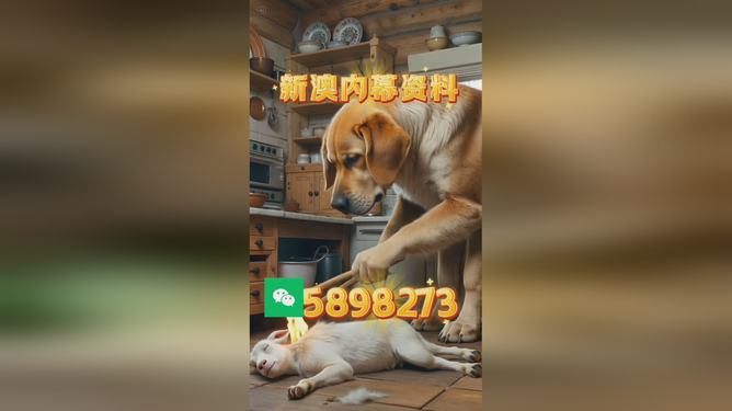 澳门精准四不像,未来城市发展的多维探索(2025展望),澳门未来城市发展的多维探索,精准四不像(2025展望)