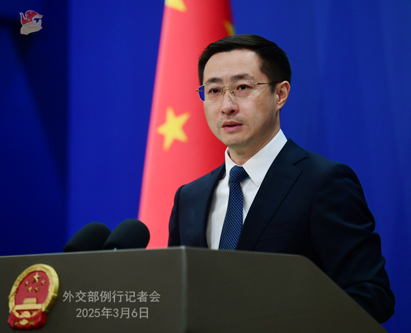 外交部部长发言人的角色与职责，外交部部长发言人的角色与职责概述