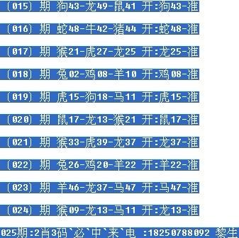 一、关于肖与码的探讨，肖与码的深度探讨