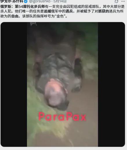 西昌市人民武装部官网，军事与政务的完美结合，西昌市人民武装部官网，军事政务完美融合