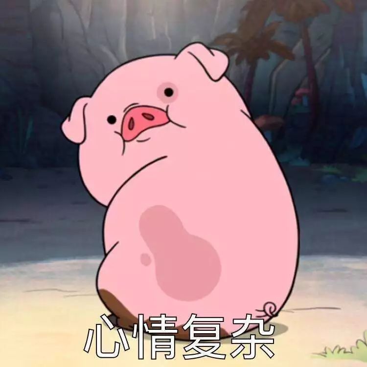 猪狗同行王中王打一肖，一种独特的文化符号与生肖魅力，猪狗同行王中王与独特文化符号下的生肖魅力