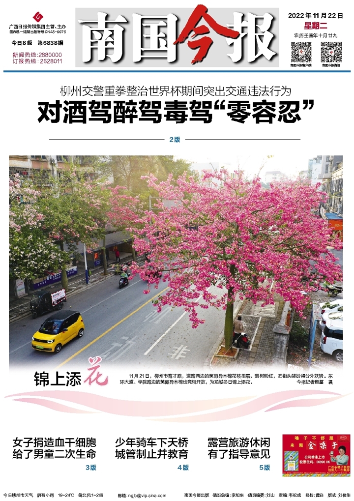 南略中文网首页新闻深度解析，南略中文网首页新闻深度剖析