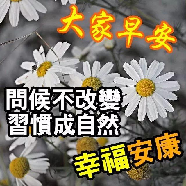 探索2022最新版今日头条，新闻与资讯的新纪元，今日头条2022最新版，新闻与资讯的新纪元探索