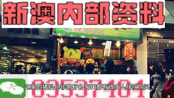 2025新澳精准资料大全——探索未来的关键指南，2025新澳精准资料大全，未来探索关键指南