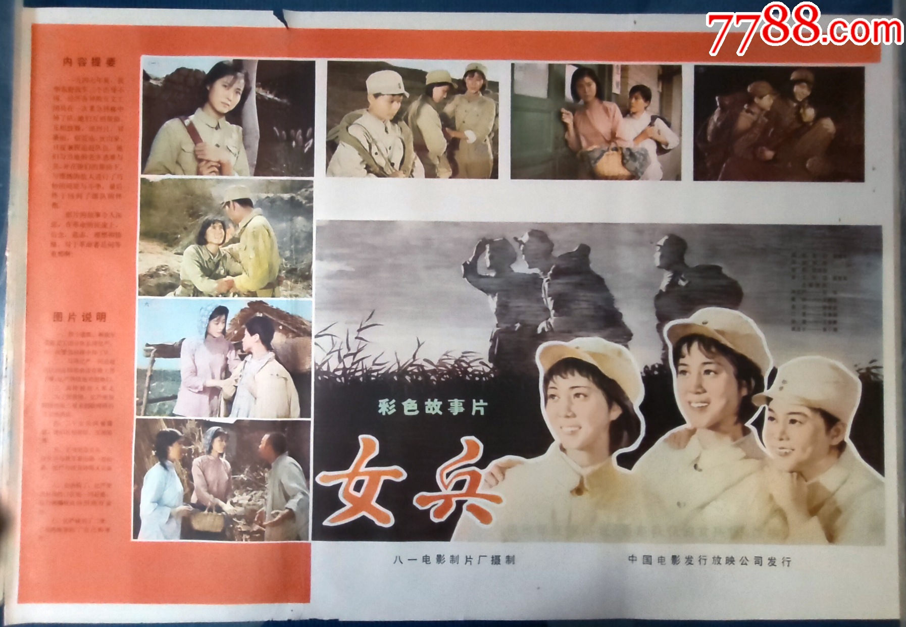 女兵，一部跨越时代的电影传奇（1981年），女兵，跨越时代的电影传奇（1981）