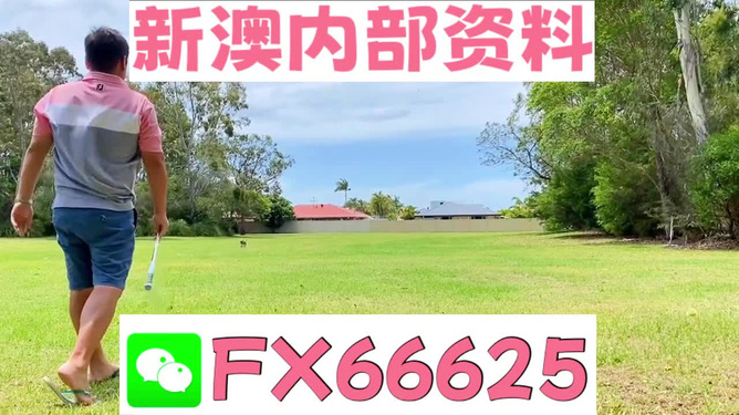 揭秘王中王一码一肖大公开背后的秘密，揭秘王中王一码一肖大公开真相揭秘背后的秘密
