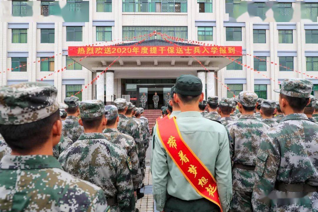 第13集团军与第14集团军，谁厉害？，揭秘，第13集团军与第14集团军实力对比解析