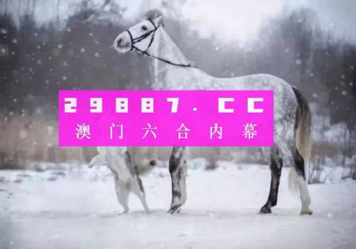 澳门精准一肖一码精准确，探索命运的神秘之门，澳门精准一肖一码，揭秘命运之门，探索未来奥秘