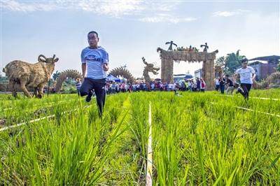 二零二三年一月六日重大新闻综述，五大事件回顾，二零二三年一月六日重大新闻综述，五大事件深度回顾