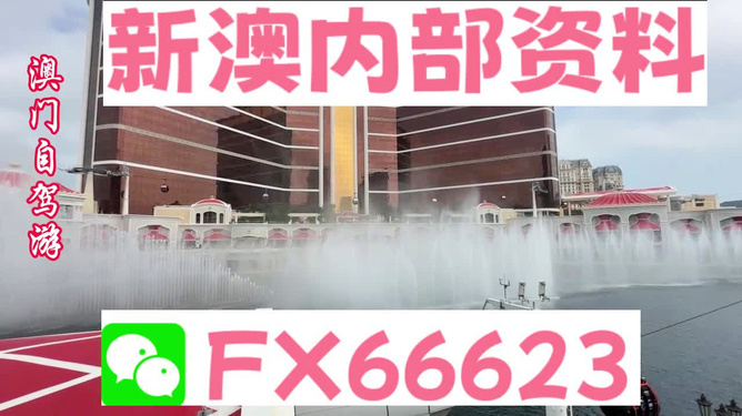 香港内部精准资料一码，揭秘与深度探讨，香港内部精准资料揭秘与深度探讨