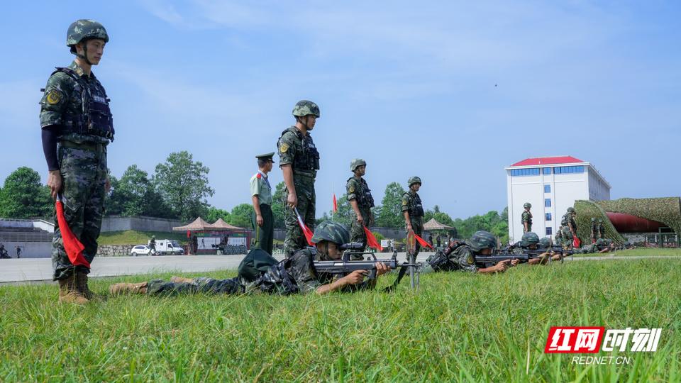 武警选拔，机遇与挑战并存，武警选拔，机遇与挑战的交织