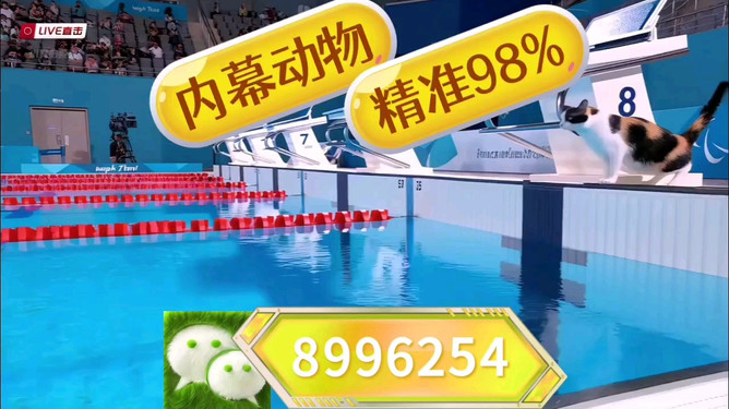 王中王马老师平特一肖，教育传奇与智慧的结晶，教育传奇人物马老师，智慧结晶与平特一肖的辉煌成就