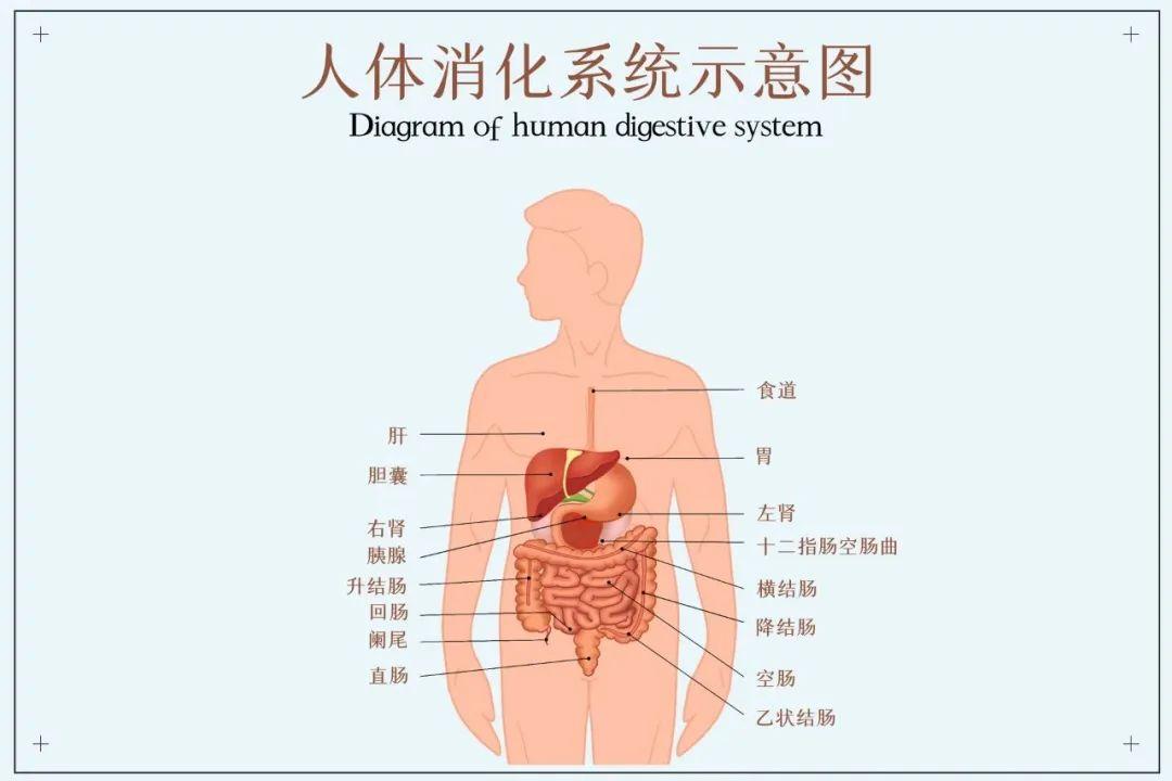 今天是三九第几天——寒冬中的日子计算与感受，三九第几天的寒冬，日子计算与感受