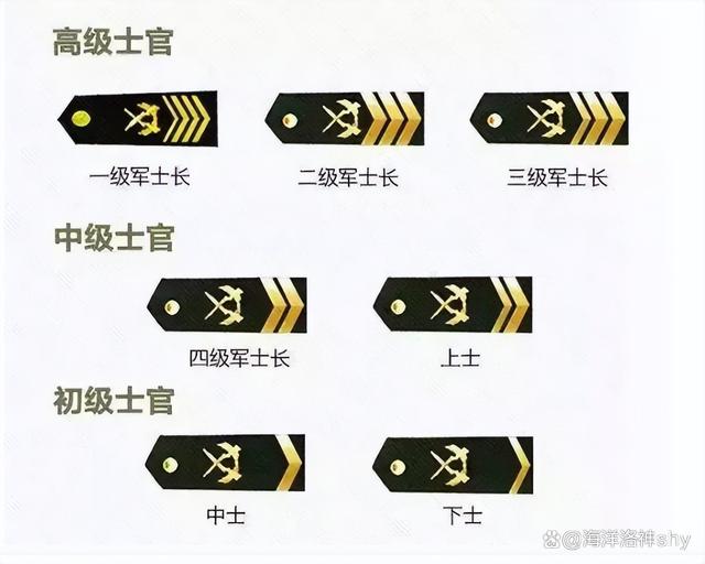 三星上将军衔相当于什么官，军事领袖的象征与荣誉，三星上将军衔的象征意义与官职等级，军事领袖的荣誉与地位