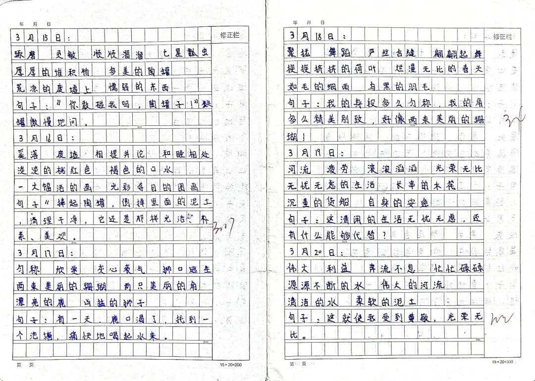 三年级摘抄一段话的魅力与启示,三年级摘抄段落,启示与魅力所在