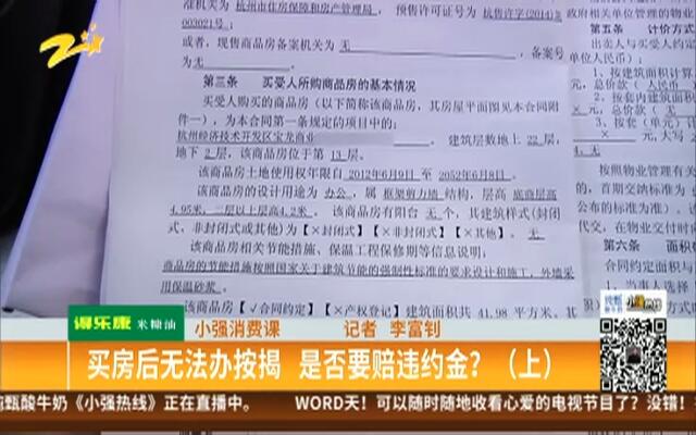 探究平特一肖买一百课中的奥秘与策略，探究平特一肖买一百课中的奥秘与实战策略分享