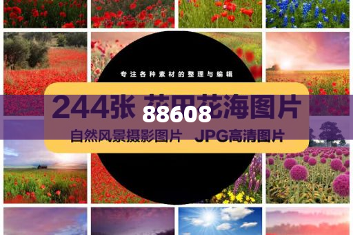 2025年正版资料免费大全，数字时代的共享革命背景故事，数字时代的共享革命，揭秘2025正版资料免费背后的故事