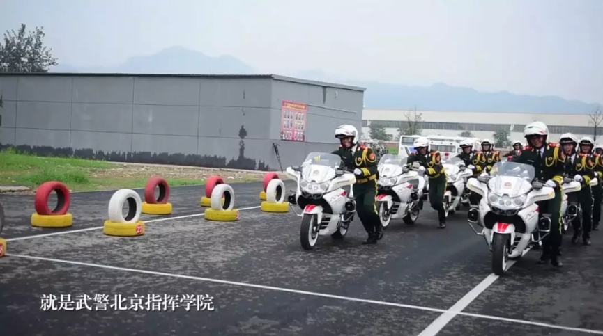 国宾护卫队王雷视频，荣耀与责任，国宾护卫队王雷，荣耀与责任的见证