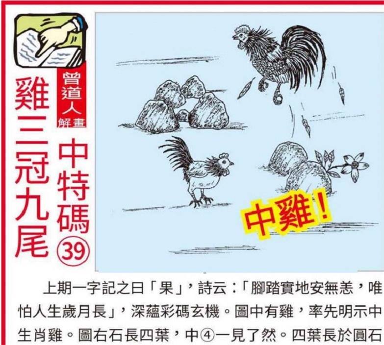 精选三肖三码资料大全，揭秘背后的奥秘与实用指南，揭秘精选三肖三码资料大全，奥秘解析与实用指南