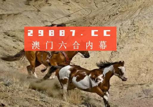 澳门必开一肖一码四不像，探索背后的神秘与魅力，澳门必开一肖一码背后的神秘魅力与探索